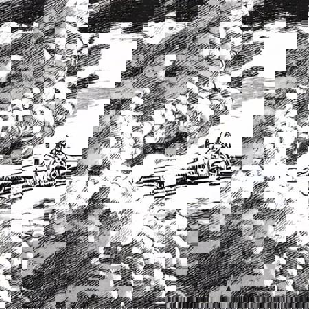 Nausicae and the AI of the wind LoRa