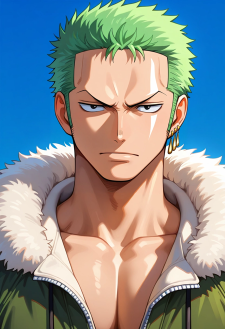 Zoro Roronoa | One Piece