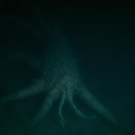 Underwater_movie_lora
