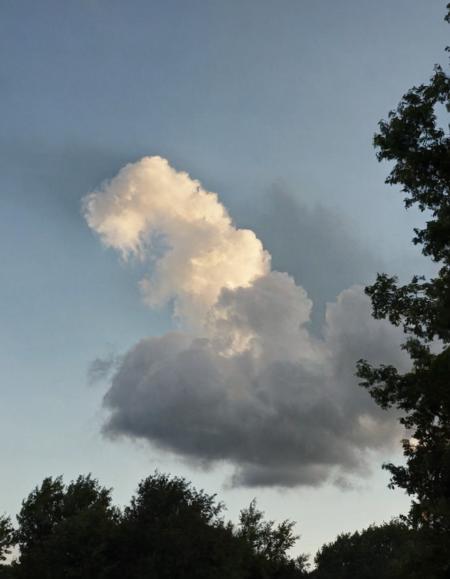 Clouds Shapes