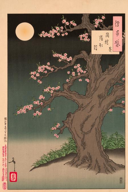 Yoshitoshi Moon ?