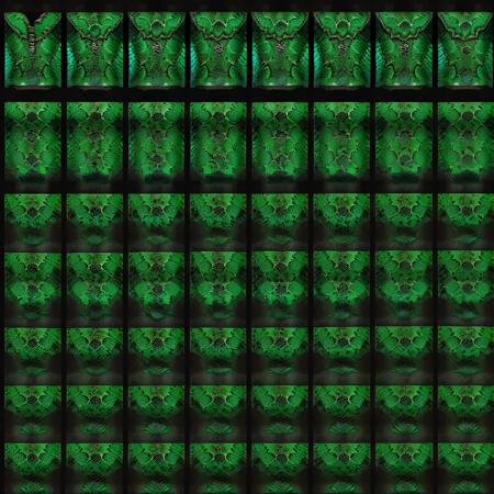 EiTexture Armor