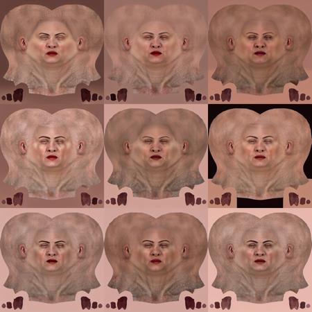 Face UVW Page Gen for CC3+ V1.0