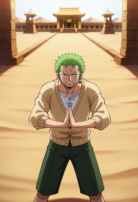 Zoro Roronoa | One Piece