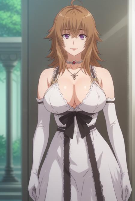 Highschool DxD Hero Collection (20 Characters)
