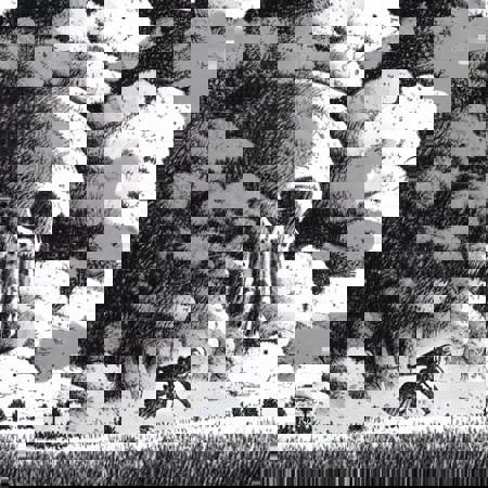 Nausicae and the AI of the wind LoRa