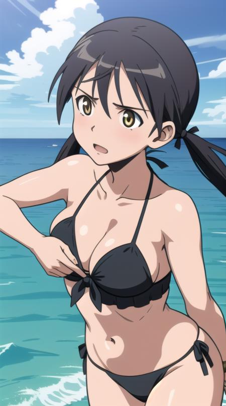 Strike Witches 501st: Gertrud Barkhorn