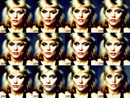 Debbie Harry from Blondie