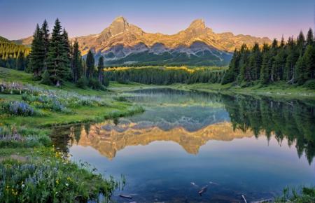 Landscapes