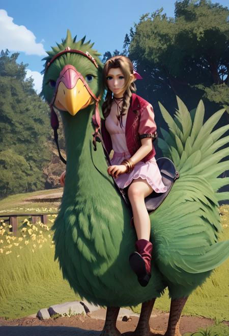 Riding a Chocobo