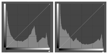 Z_phyr Noise Transformation