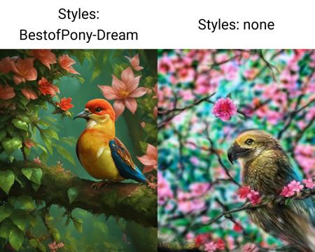 Best of Pony