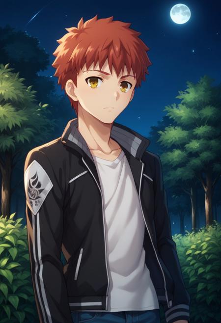 Shirou Emiya - Fate/Stay Night (Commission)