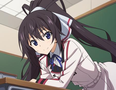 Houki Shinonono (篠ノ之 箒) - Infinite Stratos (IS 〈インフィニット・ストラトス〉)