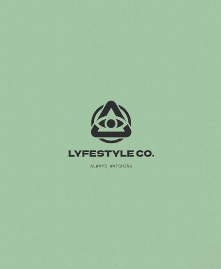 LyfeStyle 2093版本Simple version (ID: 563958)