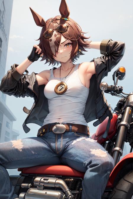 Vodka (umamusume)版本V1.0 (ID: 16053)