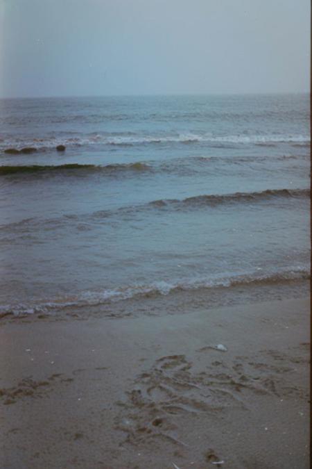 c41_zenit_kodakgold