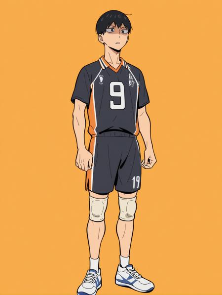 影山 飛雄（かげやま とびお)_Kageyama Tobio_排球少年！！版本Illustrious (ID: 1278480)