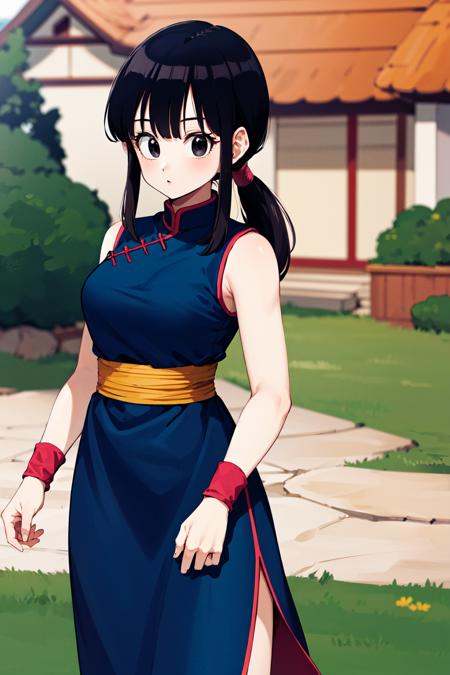 Chi-Chi チチ / Dragon Ball
