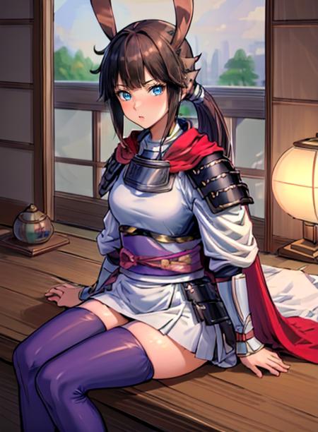 Heroine (Pokémon Conquest)