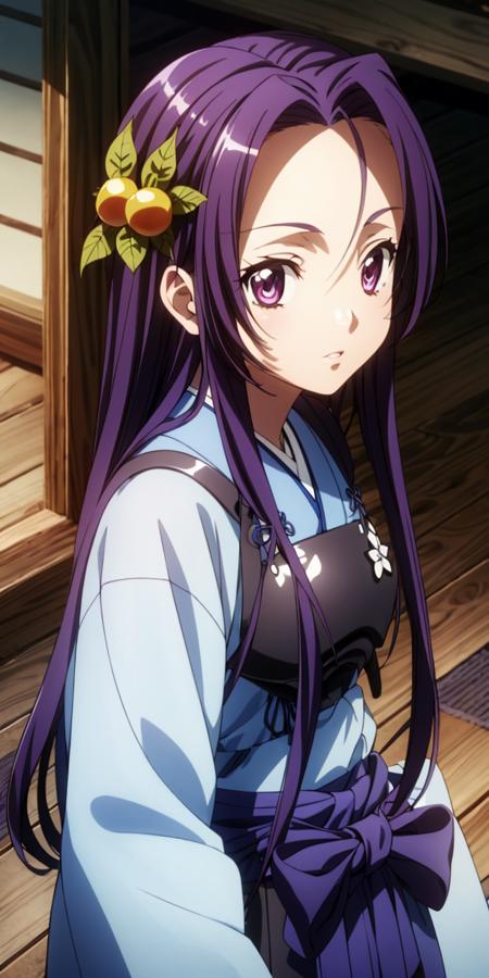 Akechi Mitsuhide / 明智光秀 / Oda Nobuna no yabou / 織田信奈の野望