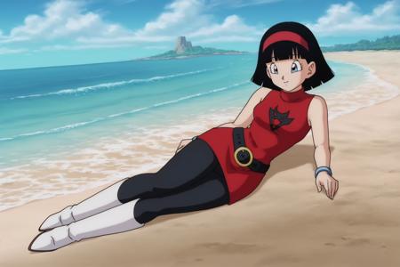 Videl - Dragon Ball Z / Dragon Ball Super