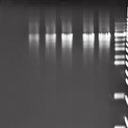 Electrophoresis-V1版本v1.0 (ID: 237336)