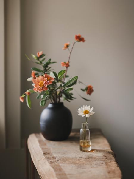 ins style,still life,simple background,简约静物