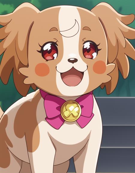Wonderful Precure! - Girls Pack