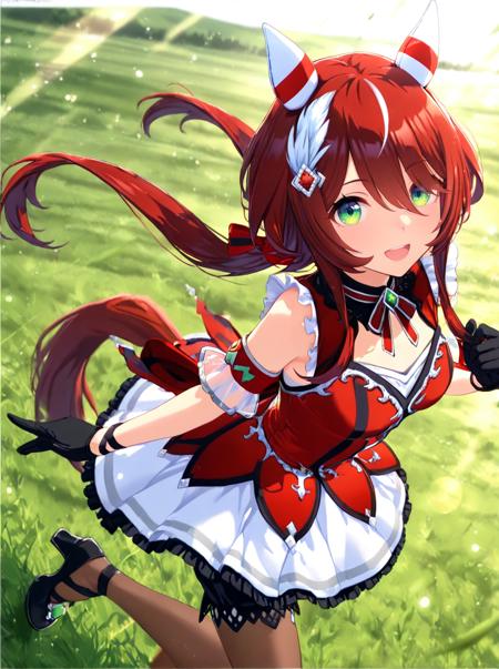 Win_Variation(umamusume)_XL & PONY & ILL