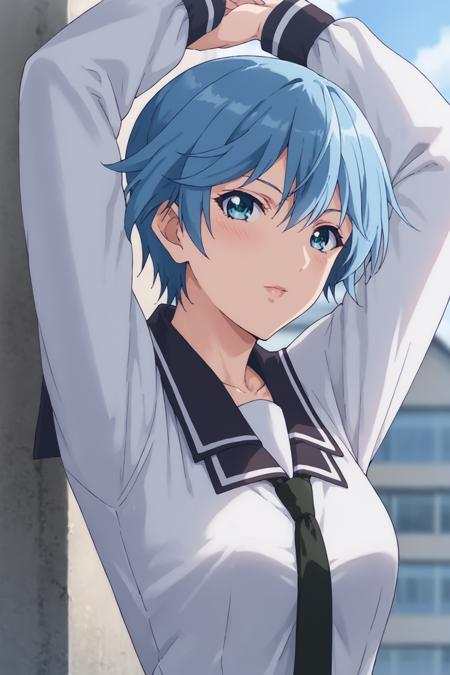Fuuka Akitsuki (秋月風夏) - Fuuka (風夏) (2 Outfits)