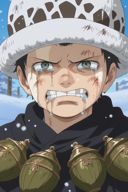 ?‍☠Corazon❤︎Law | One Piece!