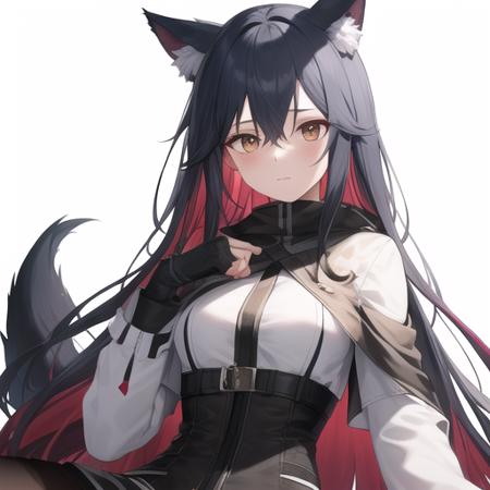 德克萨斯-明日方舟（Texas-Arknights）