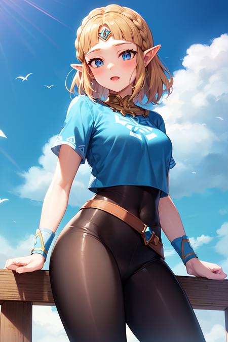 Zelda (Twilight Princess)