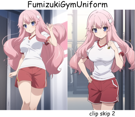 Mizuki Himeji - Baka and Test/Baka to Test    + 13 outfits...ish