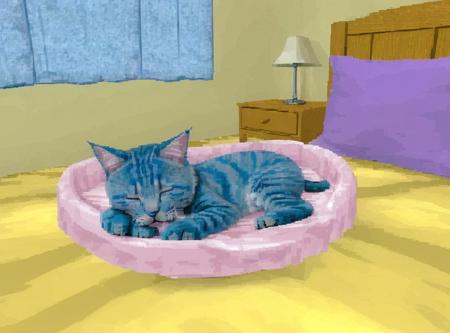 Windows 3D Maze Screensaver [1.5]