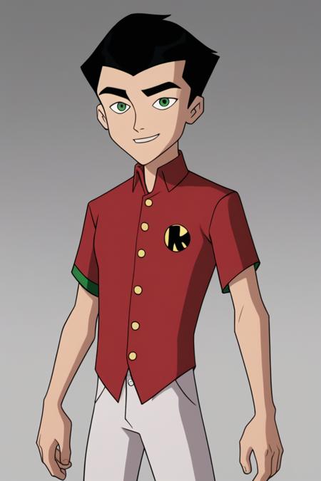 Robin - the batman 2004