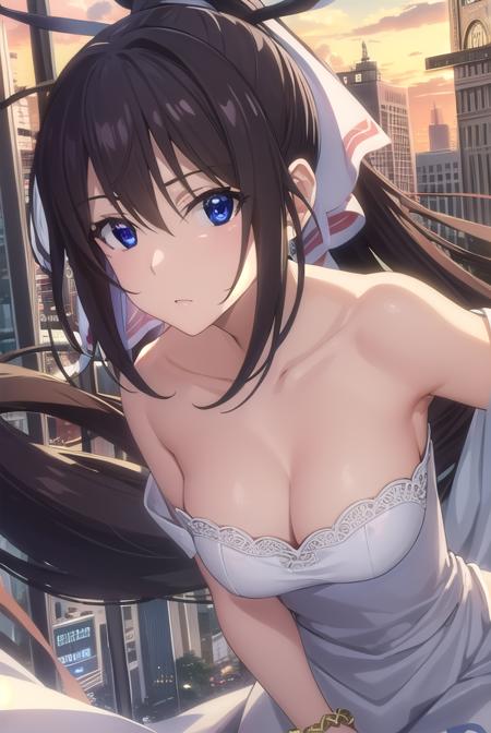 Houki Shinonono (篠ノ之 箒) - Infinite Stratos (IS 〈インフィニット・ストラトス〉)