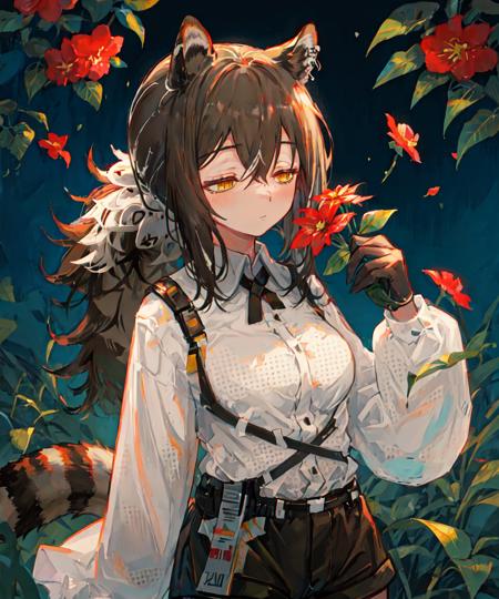 Robin (Arknights) | Lora版本V1.0 (ID: 32241)
