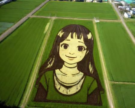 rice paddy art for maps版本v1.0 (ID: 132849)
