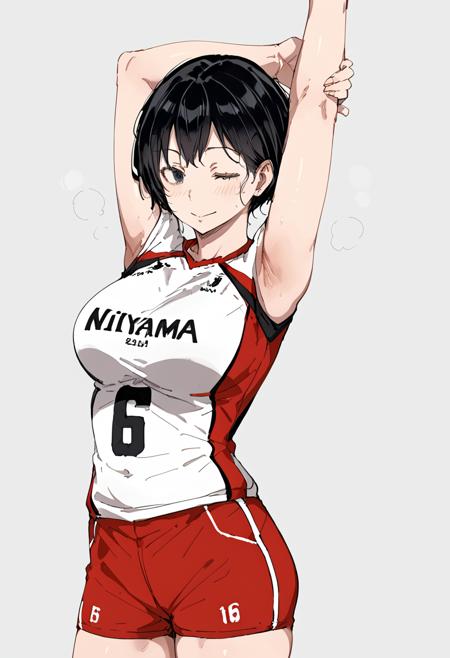 amanai_kanoka-Haikyu!!(天内叶歌-ハイキュー!!)版本v2.0 (ID: 704488)