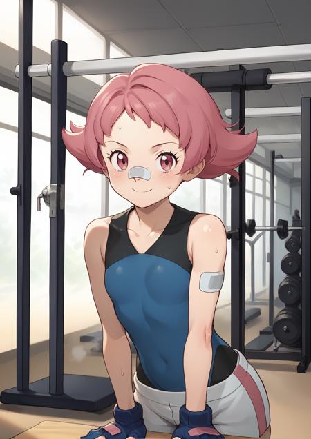Maylene (スモモ) [Pokémon DPP, BDSP] - Pony XL版本v1.0 (ID: 444901)