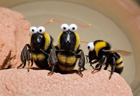 YIP YIP MARTIANS