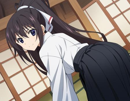 Houki Shinonono (篠ノ之 箒) - Infinite Stratos (IS 〈インフィニット・ストラトス〉)