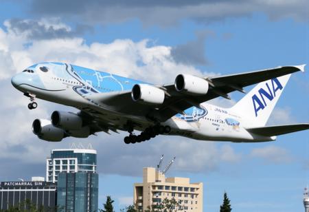 A380 Flying Honu / A380 フライング・ホヌ