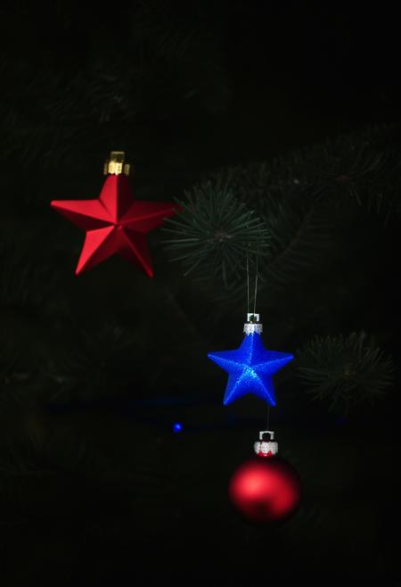 Christmas Tree Close Up - [Concept] - SDXL