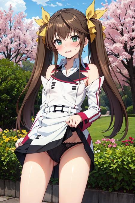 凰鈴音 Huang Lingyin/IS〈インフィニット・ストラトス〉Infinite Stratos
