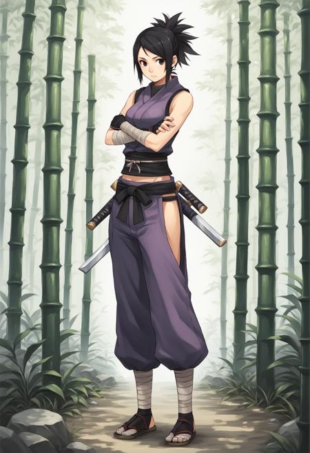 Ayame (Tenchu) XL [Pony + Illustrious]