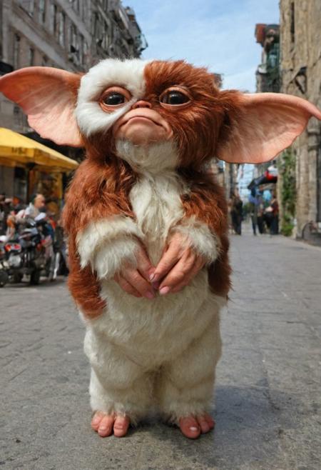 GIZMO Gremlin