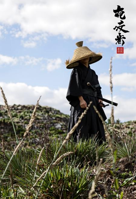 Amigasa Zamurai / 編笠侍